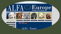 Bildschirmausdruck_ALFA-Europe